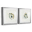 «Old Salt Shell I», ensemble de 2 reproductions d'art encadrées-2126001040-2048829127-2118285762