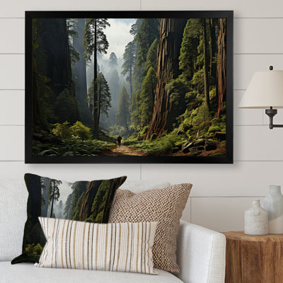 Sequoia And Kings Of Forest I - Landscapes Canvas Art Print