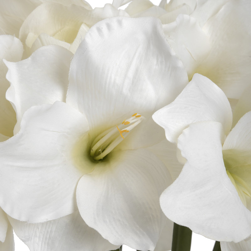 Arrangement, White