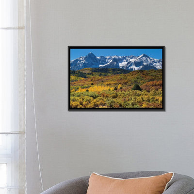 " Trees With Mountain Range In The Background, Aspen, Pitkin County, Colorado, USA I " by Panoramic Images