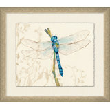 Perched Dragonfly 2 Painting