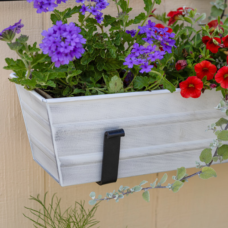 Small White Galvanized Flower Box with Black Brackets