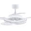 Adilene 122cm Ceiling Fan with LED Lights