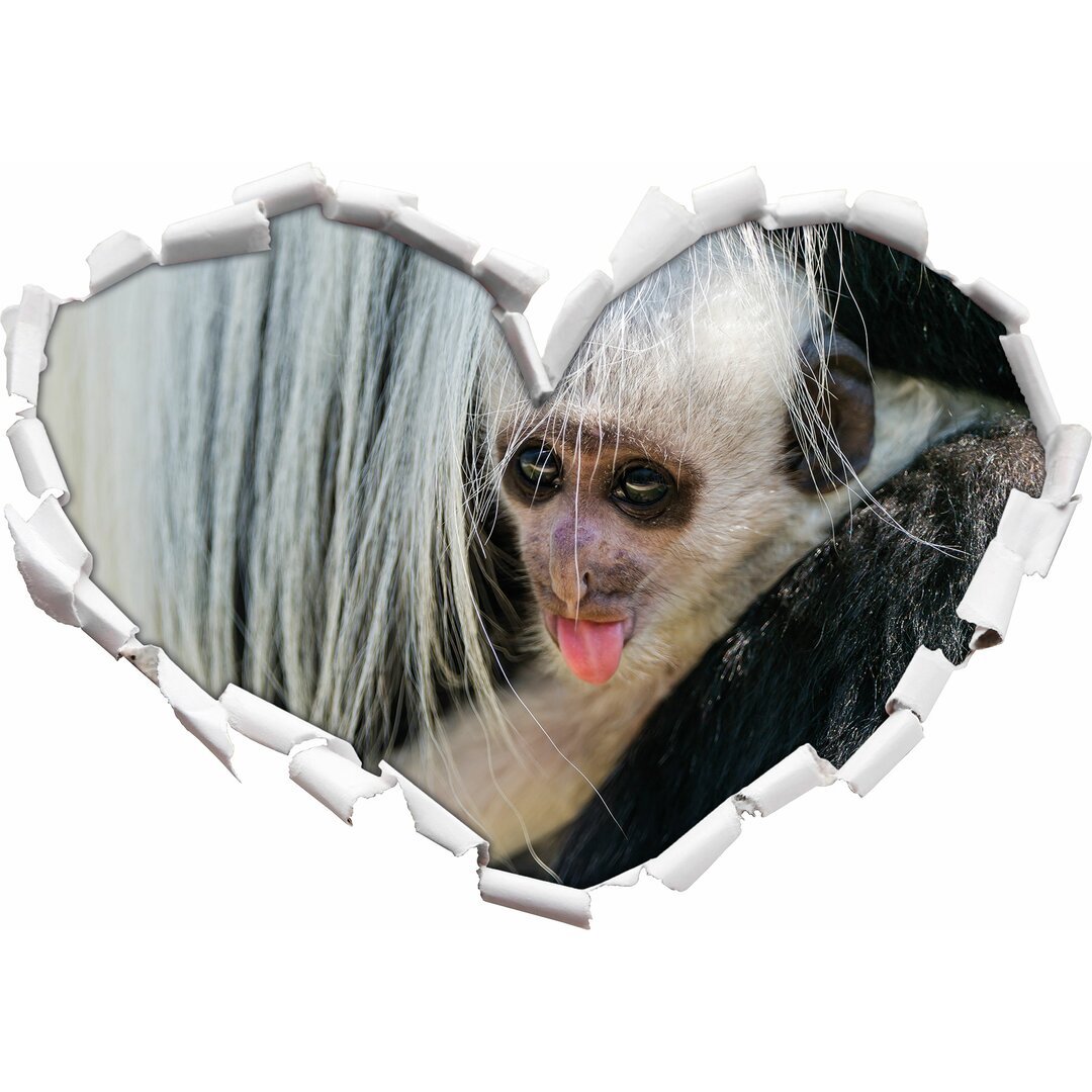 Wandtattoo Kleines Colobus-Äffchen