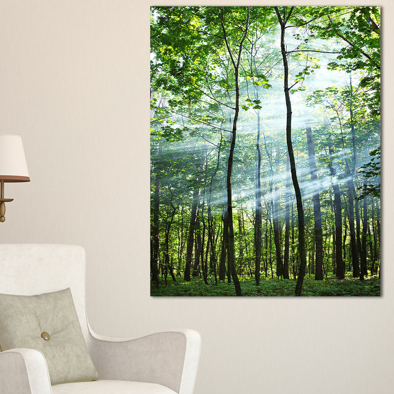 Reproduction de photo sur toile tendue - Forêt ensoleillée, H 32 po x l 16 po x P 1 po