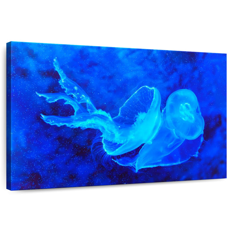Brampt Bell Shaped Jellyfish, 20" H x 30" W
