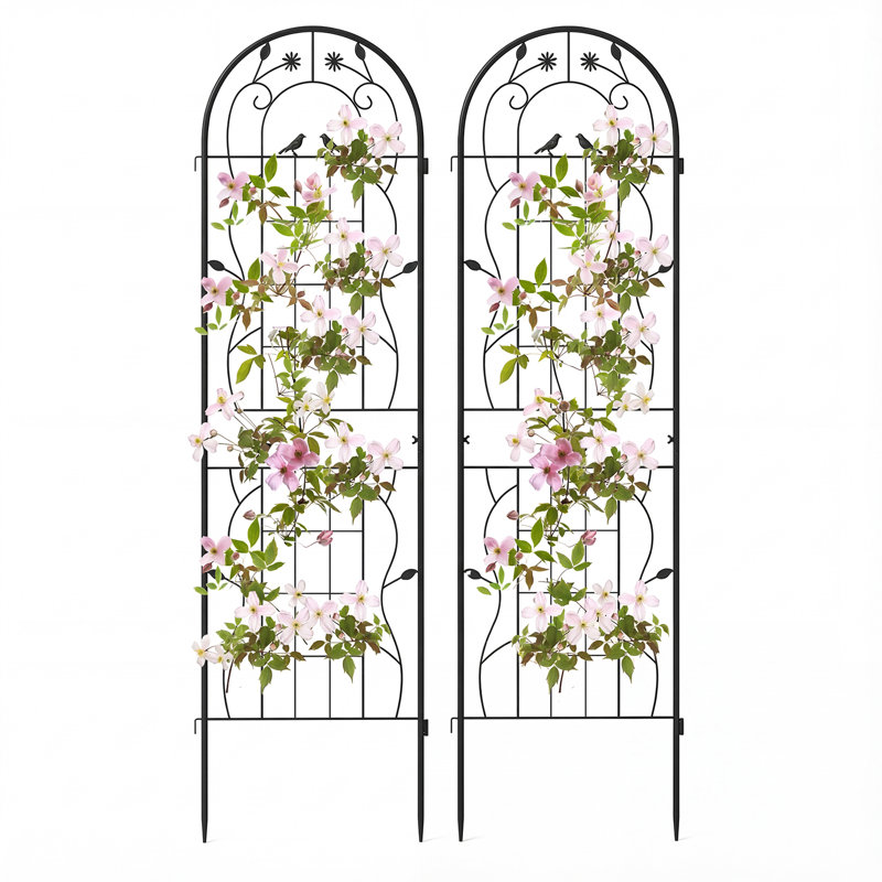 Metal Arched Trellis, 180cm H x 50cm W, Black