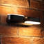 Fulcher Black 2 - Bulb 23cm H Integrated LED Frosted Glass Outdoor Armed Sconce