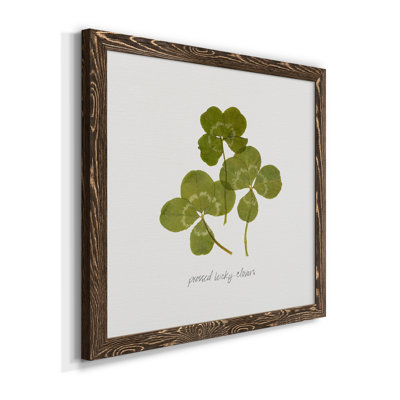 " Pressed Clover II "