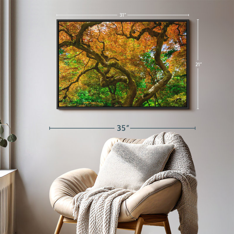 Mossy Maple Tree Canvas Print, 21" H x 31" W