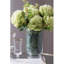 Tige de pivoine