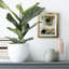 Southern Flow - impression encadrée-2068964699-2068964697