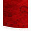 Tapis unique 5 pi 1 po x 5 pi 1 po Huckstep