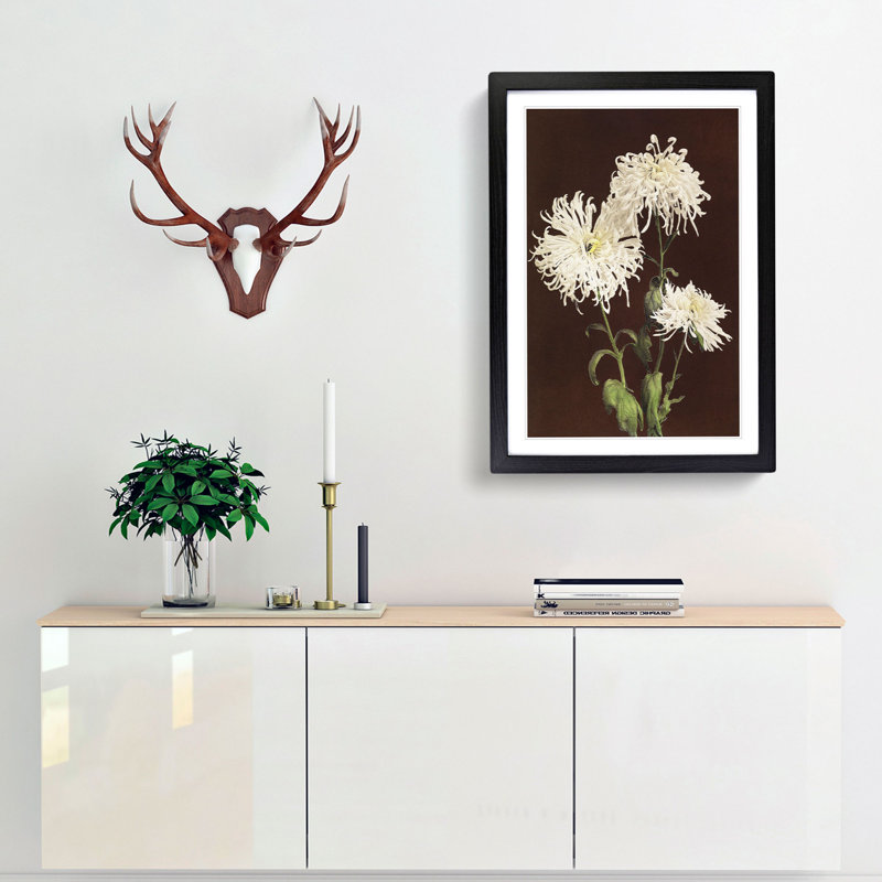 White Chrysanthemums by Kazumasa Ogawa - Framed Print, Black Framed, 48cm H x 36cm W x 2cm D