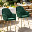 46cm H Velvet Upholstered Upholstered Back Side Chair in Green