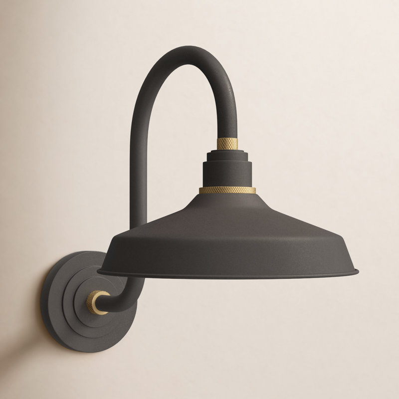 Luminaire de grange d'extérieur 1 lumière Bertram, H 17 po x l 12 po x P 20 po, Brun