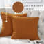 Square Cushion Cover-18343909