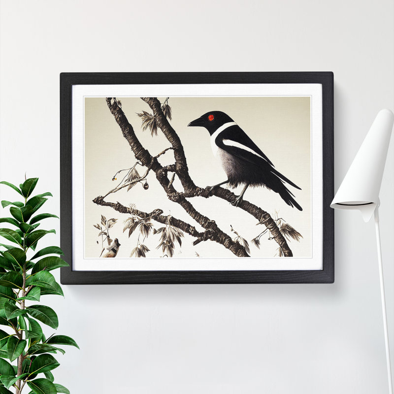 Sublime Magpie Bird - Single Picture Frame Print, 46cm H x 64cm W x 2cm D, Black  Framed