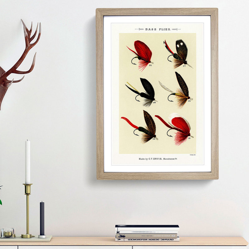 Bass Fishing Flies Versions 3 by Mary Orvis Marbury - Picture Frame Painting Print, 48cm H x 36cm W x 2cm D, Oak Framed