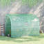 Walk In Lean to 300*150*213 cm Polyethylene 1 Piece Lean-to Greenhouse Green with UV-resistant PE Cover