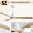 Jazyra 52'' Ceiling Fan with LED Lights