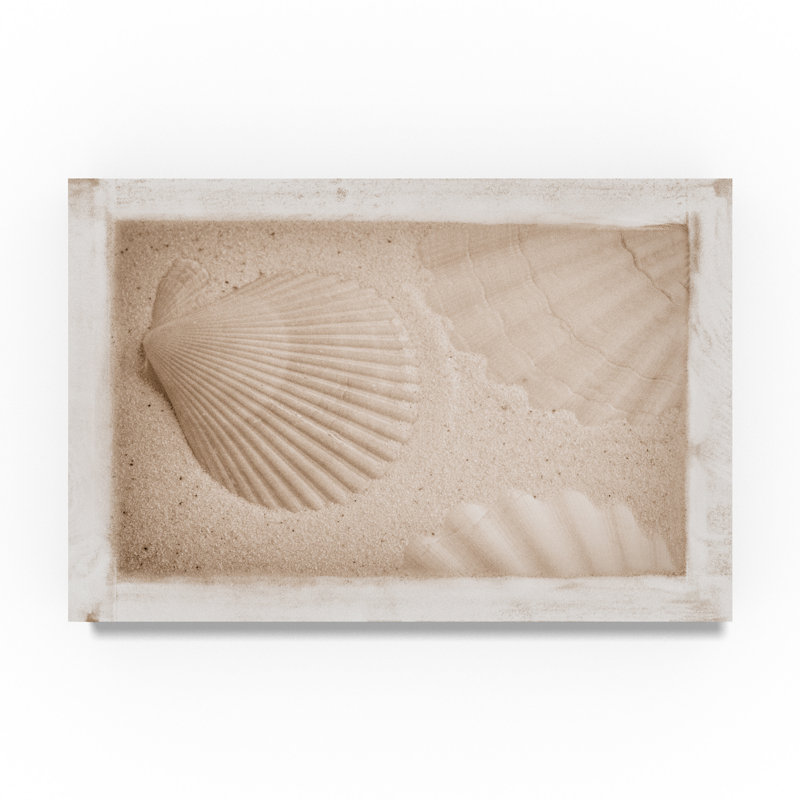 «White Shells and Sand», reproduction de photo sur toile tendue, H 22 po x l 32 po