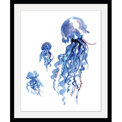 Jellyfish - Single Picture Frame Print