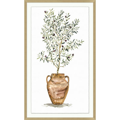 Olive en pot