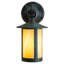 Rustic Lodge 1 - Light Armed Sconce