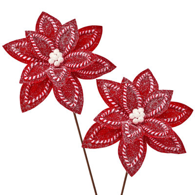 Tige de poinsettia 22 "sucre et épices