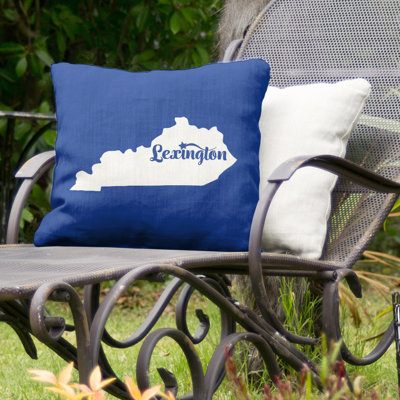Indoor/Outdoor Pillow