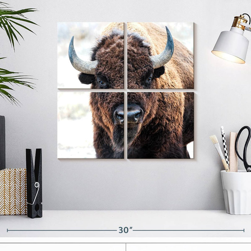 Bison d'Amérique - un trésor national, H 18 po x l 18 po