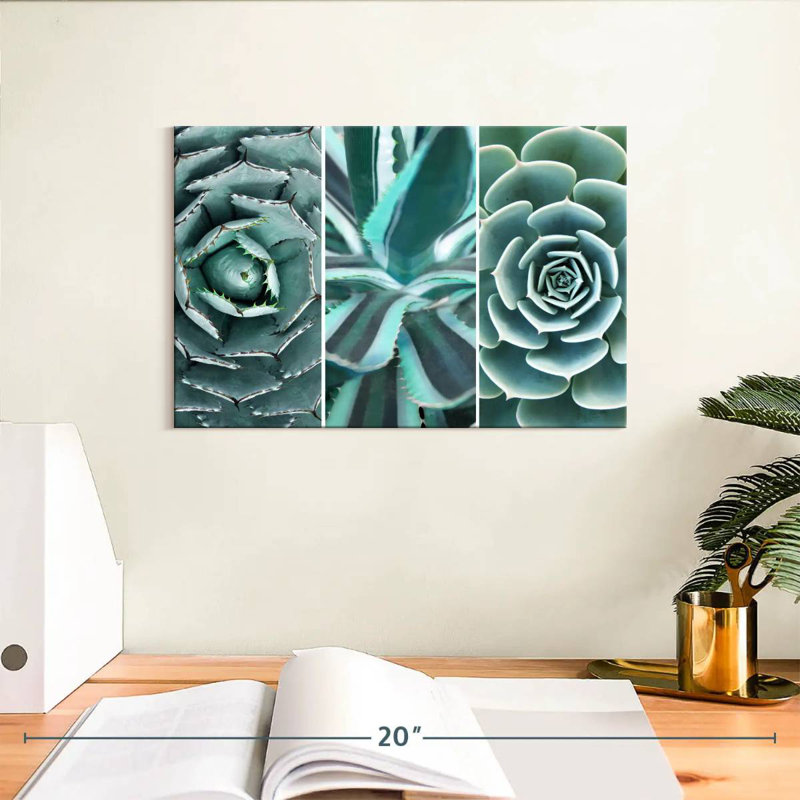 Harnek Different Succulents, 8" H x 12" W