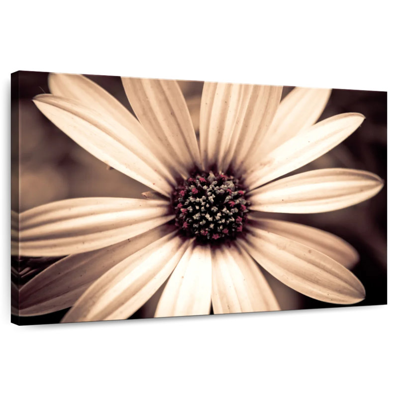 Harnek Detailed Sepia Flower, 30" H x 45" W