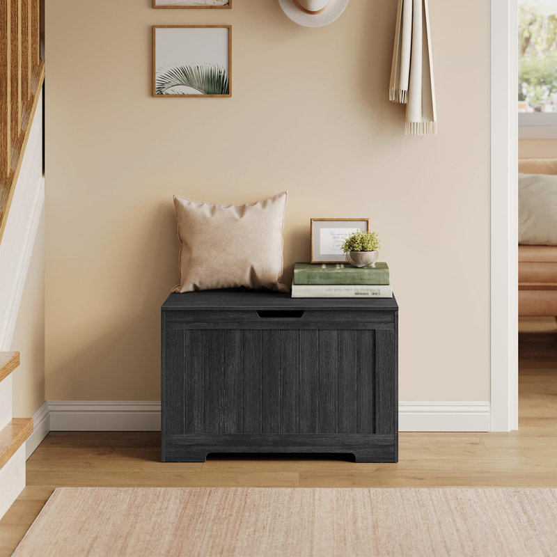 Coffre de rangement, Gris anthracite