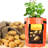 Deago Grow Bag