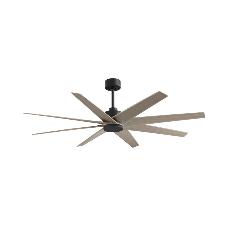 Ariella - Eight Blade Ceiling Fan - Brushed Brass Finish - Matte Black Blades, Matte Black, Gray Ash Tone