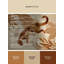 Tapis moelleux moelleux Abson Jaguarundi-1961840360