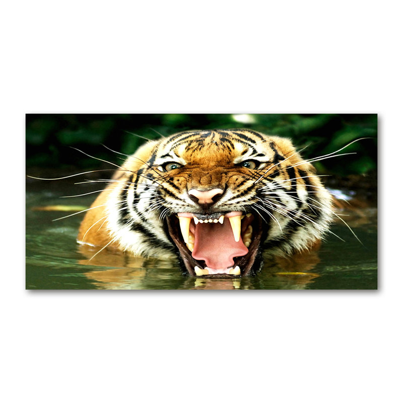 Roaring Tiger - Wrapped Canvas Print, 60cm H x 120cm W
