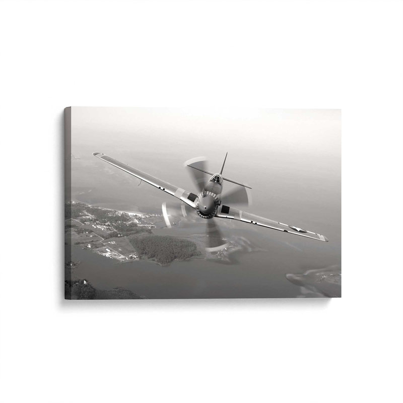 Silent Wings Print on Canvas, 12" H x 18" W, Stretched Canvas