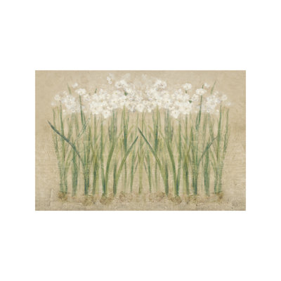 Cheri Blum - Wrapped Canvas Print