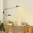 Anyuta Swing Arm Sconce