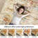 Non-Slip Machine Washable Area Rugs, Modern Abstract Rug with Non-Slip Backing for Living Room Bedroom Dining Room
