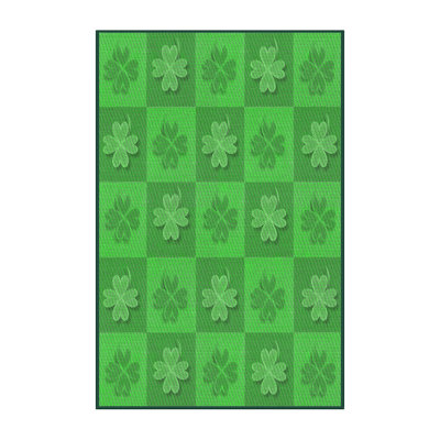 Indoor Rug