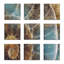 « ammonite fossile », ensemble de 9 toiles d’art murales