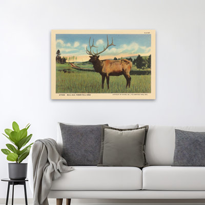 Elk I - 0 Art