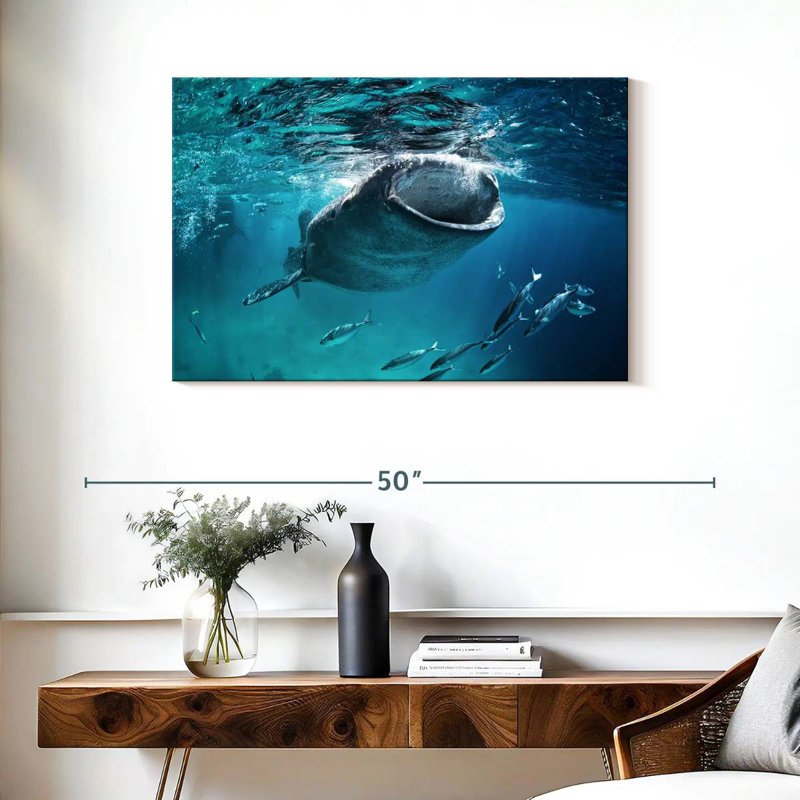 Requin-baleine Brampt, H 24 po x l 36 po