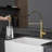Pull Down Kitchen Faucet-125337697