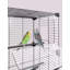 Cage à oiseau Garnsey-1935673662