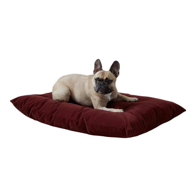 Lit pour chien en velours côtelé Gladmir, H 4 po x l 36 po x P 24 po, Wine